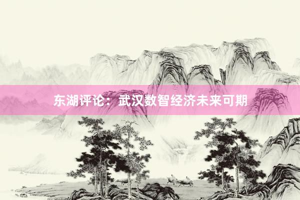 东湖评论：武汉数智经济未来可期