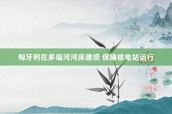 匈牙利在多瑙河河床建坝 保障核电站运行