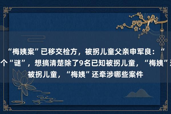 “梅姨案”已移交检方,被拐儿童父亲申军良:“梅姨”年龄仍是个“谜”,想搞清楚除了9名已知被拐儿童,“梅姨”还牵涉哪些案件
