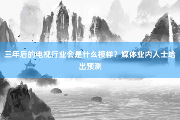 三年后的电视行业会是什么模样？媒体业内人士给出预测
