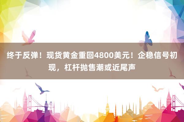 终于反弹！现货黄金重回4800美元！企稳信号初现，杠杆抛售潮或近尾声