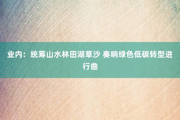 业内：统筹山水林田湖草沙 奏响绿色低碳转型进行曲