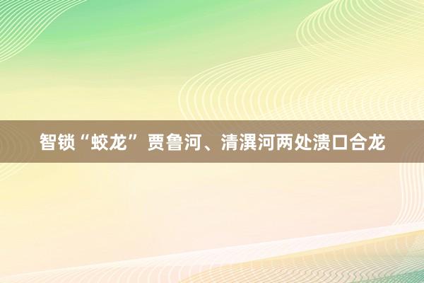 智锁“蛟龙” 贾鲁河、清潩河两处溃口合龙