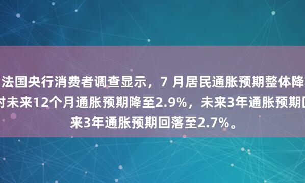 法国央行消费者调查显示，7 月居民通胀预期整体降温。消费者对未来12个月通胀预期降至2.9%，未来3年通胀预期回落至2.7%。
