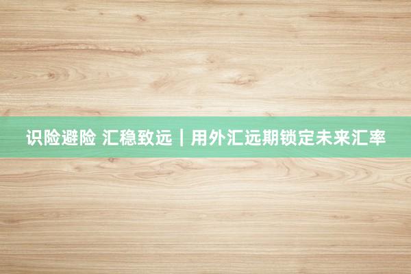 识险避险 汇稳致远｜用外汇远期锁定未来汇率