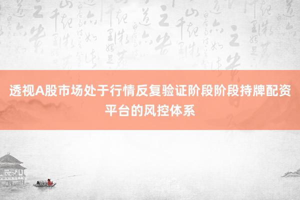 透视A股市场处于行情反复验证阶段阶段持牌配资平台的风控体系