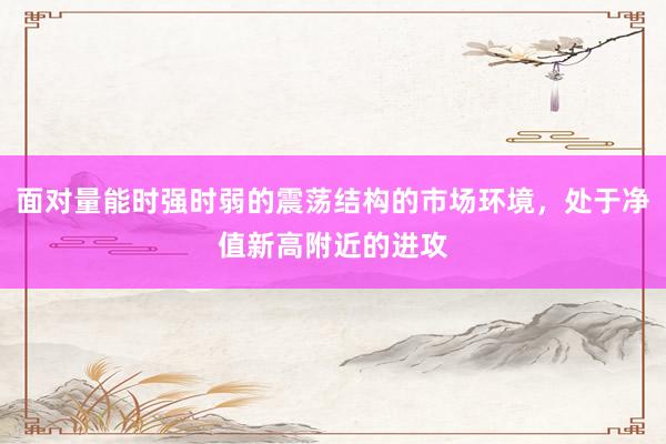 面对量能时强时弱的震荡结构的市场环境，处于净值新高附近的进攻