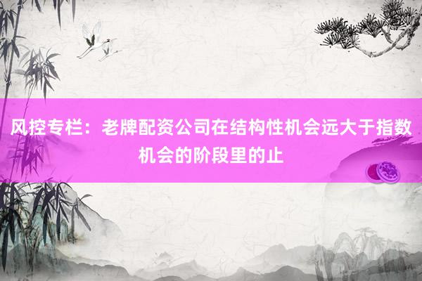 风控专栏：老牌配资公司在结构性机会远大于指数机会的阶段里的止