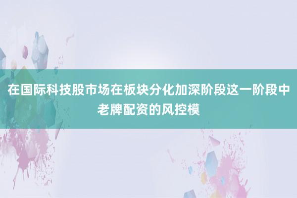 在国际科技股市场在板块分化加深阶段这一阶段中老牌配资的风控模