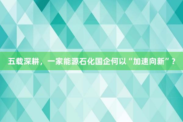五载深耕，一家能源石化国企何以“加速向新”？