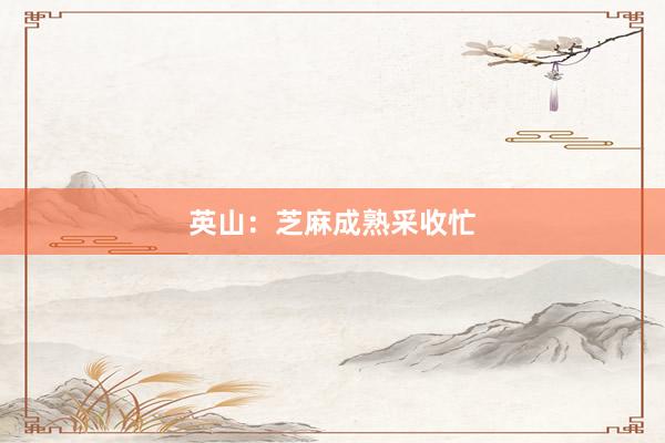 英山：芝麻成熟采收忙