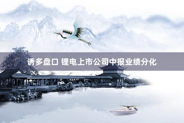 诱多盘口 锂电上市公司中报业绩分化
