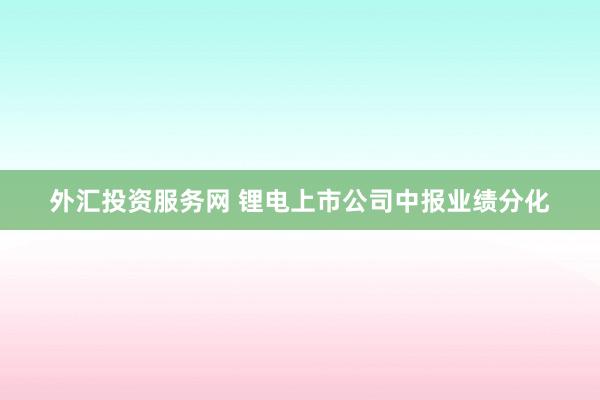 外汇投资服务网 锂电上市公司中报业绩分化
