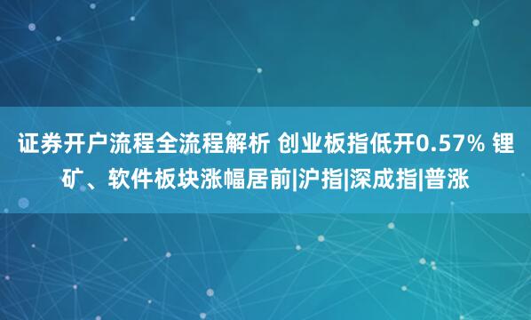 证券开户流程全流程解析 创业板指低开0.57% 锂矿、软件板块涨幅居前|沪指|深成指|普涨