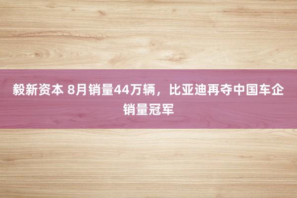 毅新资本 8月销量44万辆，比亚迪再夺中国车企销量冠军
