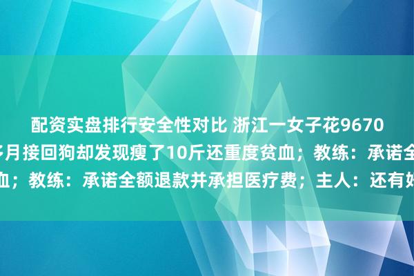 配资实盘排行安全性对比 浙江一女子花9670元送边牧培训，一个多月接回狗却发现瘦了10斤还重度贫血；教练：承诺全额退款并承担医疗费；主人：还有好多受害狗