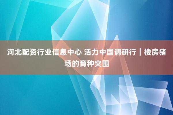 河北配资行业信息中心 活力中国调研行｜楼房猪场的育种突围