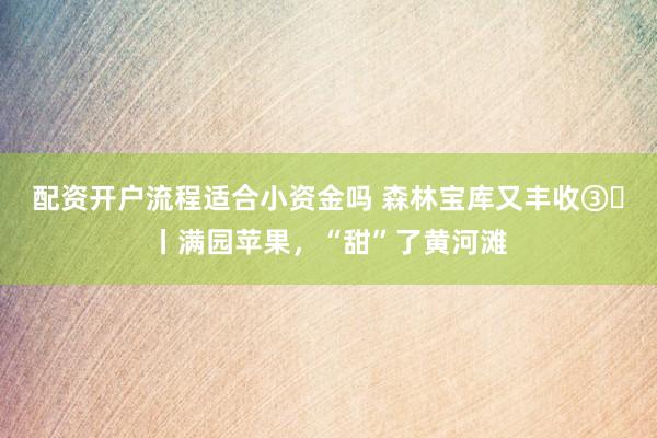 配资开户流程适合小资金吗 森林宝库又丰收③‌丨满园苹果，“甜”了黄河滩