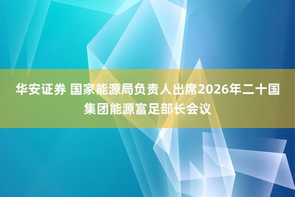 华安证券 国家能源局负责人出席2026年二十国集团能源富足部长会议