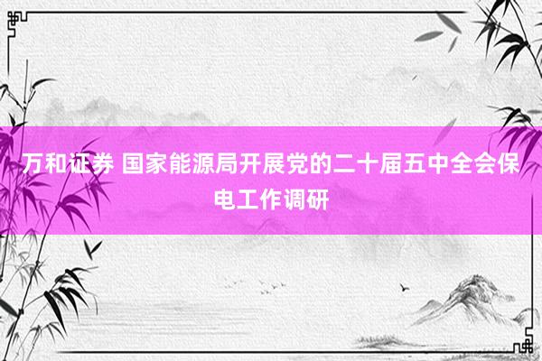 万和证券 国家能源局开展党的二十届五中全会保电工作调研