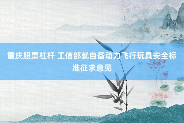 重庆股票杠杆 工信部就自备动力飞行玩具安全标准征求意见