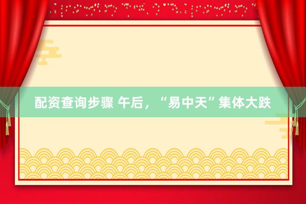 配资查询步骤 午后，“易中天”集体大跌