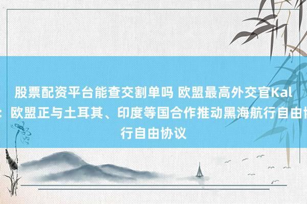股票配资平台能查交割单吗 欧盟最高外交官Kallas：欧盟正与土耳其、印度等国合作推动黑海航行自由协议