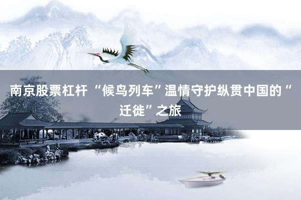 南京股票杠杆 “候鸟列车”温情守护纵贯中国的“迁徙”之旅