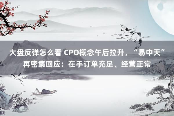 大盘反弹怎么看 CPO概念午后拉升，“易中天”再密集回应：在手订单充足、经营正常